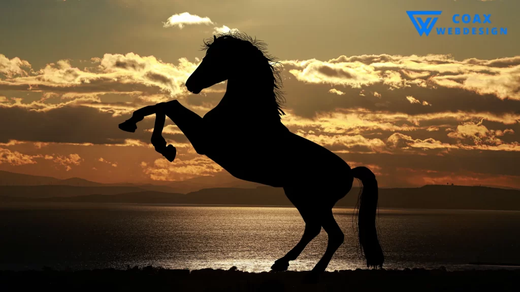 Silhouette of a horse at sunset, highlighting how long does a horse lives in peaceful surroundings.