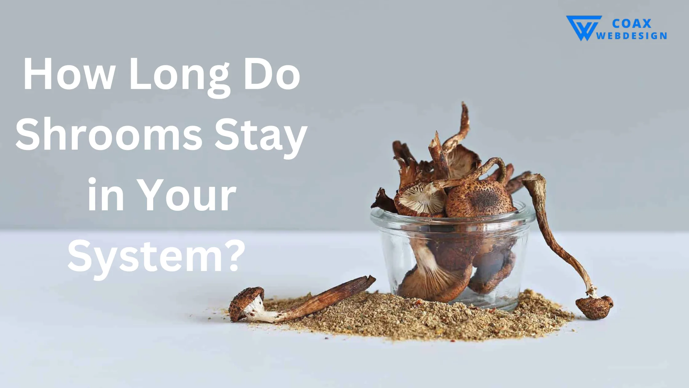 Shrooms in a glass jar with powder scattered - How Long Do Shrooms Stay in Your System?